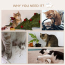PawHut 3PCs Wall Mounted Cat Tree Cat Shelves Climbing Shelf Set Scratching Post