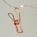 String Lights with Copper Clip
