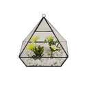 Terrarium Black with LED Lighting