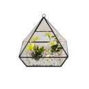 Terrarium Black with LED Lighting