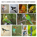 PawHut Wooden Bird Aviary, Outdoor Bird Cage for Finch, Canary w/ Tray - Grey
