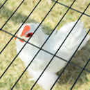 PawHut Steel Chicken Coop, Hexagonal Hen House w/ Water-Resistant Canopy - Blue