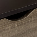 HOMCOM Modern Coffee Tables for Living Room w/ Shelves & Two Drawers, Black