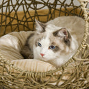 PawHut Wicker Cat Bed Elevated Rattan Kitten Basket Cozy Cave w/ Soft Cushion
