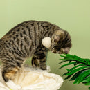 PawHut Cat Tree for Indoor Cats w/ Scratching Posts Hammock, Toy Ball - Beige
