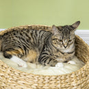 PawHut 72cm Cat Activity Centre w/ Two Bed, Toy Ball, Sisal Scratching Post