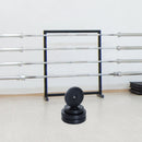 HOMCOM 4 Piece Dumbell Barbell Plate Set 2 x 5kg and 2 x 10kg for Home Gym