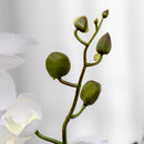 HOMCOM Artificial fake faux Flowers Potted White Orchid Plant Home Décor
