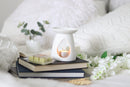 Homestead Pack of 6 Wax Melts (Cubes) - Melon Medley