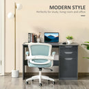 Computer Desk with Drawers Modern Writing Workstation with Storage Cabinet PC Study Table for Home Office Study - Grey
