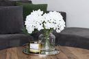 Indulgence Collection Candle  14oz Coloured Glass Jar - Egyptian Cotton
