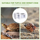 Turtle Tank