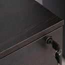 Vinsetto Filing Cabinet with 2 Drawers and Lock 40x44x55cm Black