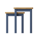 Aldeburgh Blue Nest of 2 Tables 50 x 32 x 50 cm