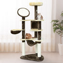 Cat Tree