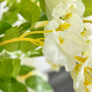 HOMCOM Artificial Realistic White Wisteria Tree for Indoor Outdoor Décor, 160cm