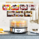 HOMCOM Food Dehydrator 5 Tier 250W - Stainless Steel