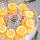 HOMCOM Food Dehydrator 5 Tier 250W - Stainless Steel