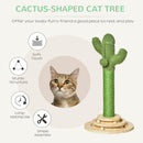 Cactus Cat Scratching Post