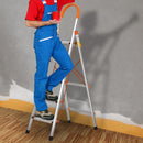 Aluminium Ladder